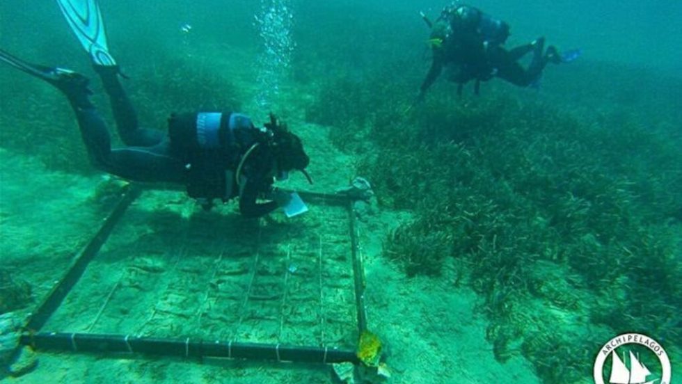 posidonia fytema